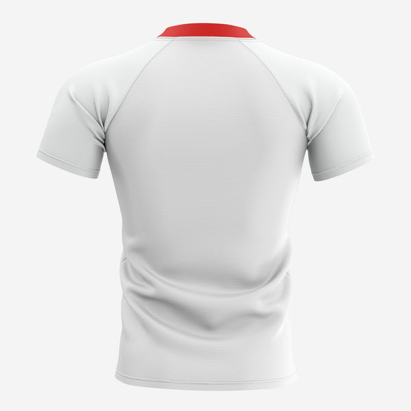 St George Illawarra Dragons NRL Youth Supporter Replica Home Jersey
