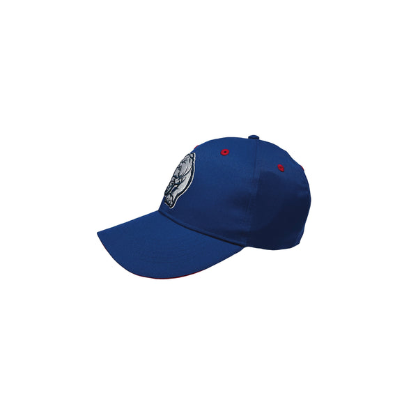 Western Bulldogs Adults Mens 3D Logo Cap