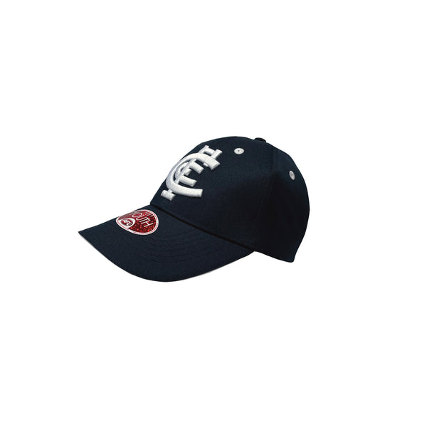Carlton Blues Boys Youths 3D Logo Cap