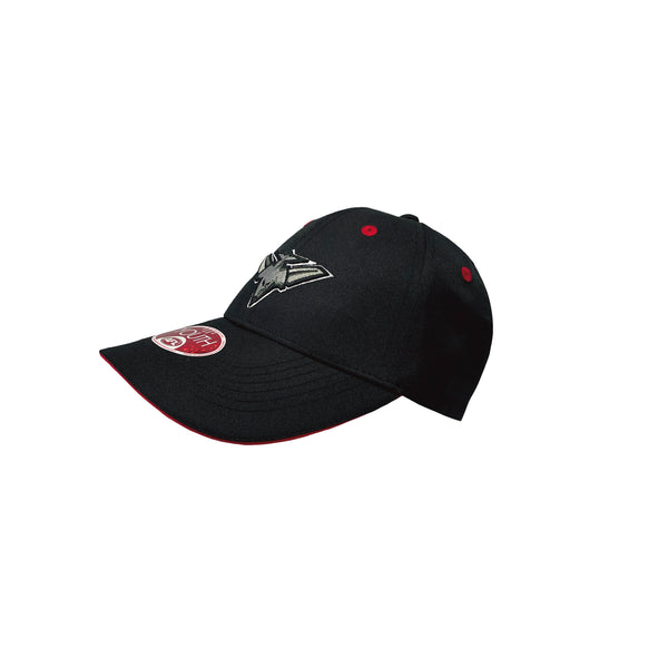 Essendon Bombers Boys Youths 3D Logo Cap