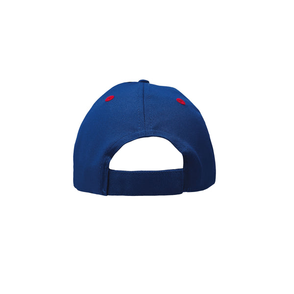 Western Bulldogs Boys Youths 3D Logo Cap